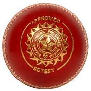 SG Test Cricket Ball